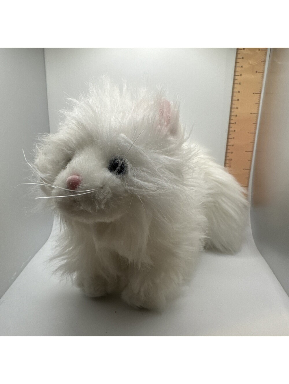 Webkinz Persian Cat